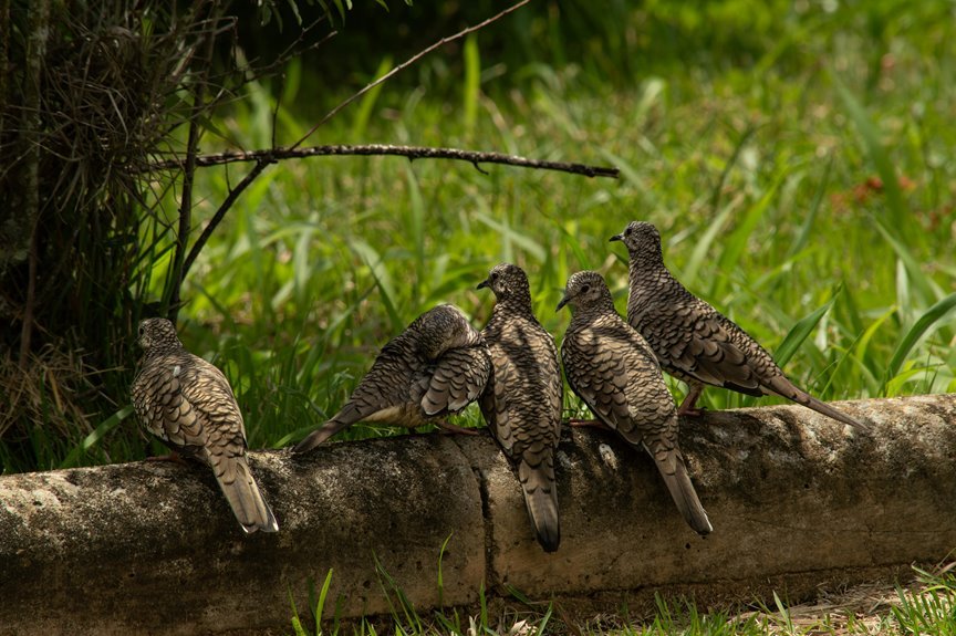 high reliability metric examination log